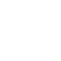 NSFLogo-AllWhite National Science Foundation
